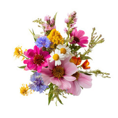 Vibrant wildflower bouquet with assorted blooms isolated on transparent background