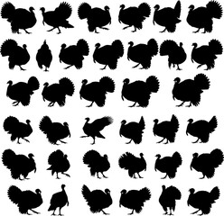 A collection of diverse turkey silhouettes in various poses.
