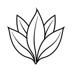 Close Up of Yellow American Lotus Center