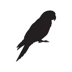Green parrot silhouette vector flat illustration design on white background