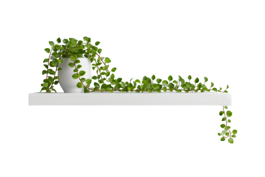 Handmade infant booties crafted from pastel yarn with soft cuffs, flat lay composition, isolated on transparent background