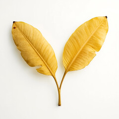 A minimalist overhead view showcases two vibrant golden yellow leaves with visible veins creating a graceful V formation