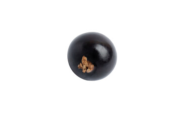 Single Black Currant , isolated on transparent background, PNG