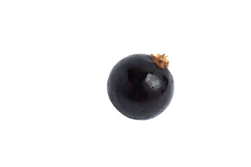 Single Black Currant , isolated on transparent background, PNG