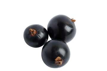 Three Black Currant Berries, isolated on transparent background, PNG