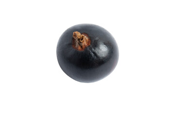 Single Black Currant Berry, isolated on transparent background, PNG