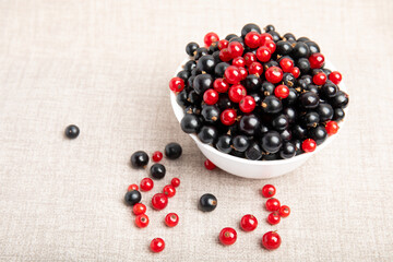 Red and Black Currants in White Bowl on Fabric Surface