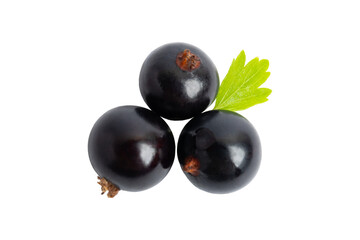 Three Jabuticaba Berries, isolated on transparent background, PNG