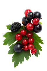 Mixed berries assortment on green leaves, isolated on transparent background, PNG