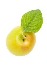 Yellow cherry plum with leaf, isolated on transparent background, PNG