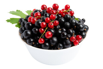 Black and red currants in white bowl – front view, isolated on transparent background, PNG