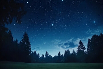 Starry night sky above a tranquil landscape with trees