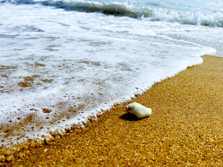 Serene sandy beach with gentle waves and single seashell,capturing the peaceful beauty of nature simplicity