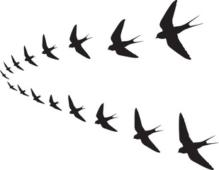 Fototapeta premium Graceful Flight A Silhouette Depiction of Swallows in an Open Sky Formation Evoking Freedom and Natural Beauty