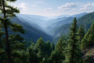 Majestic mountain valley vista with lush green pine trees under a hazy blue sky