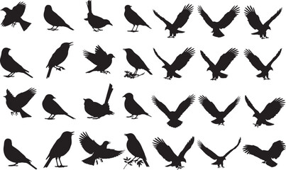 Silhouette Avian Assortment A Dynamic Collection of Birds and Eagles in Flight Perched and Standing Various Postures