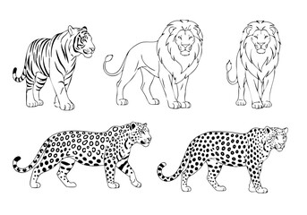 Outline Handdrawn Detailed Lion Tiger Leopard Animal Illustration Drawing