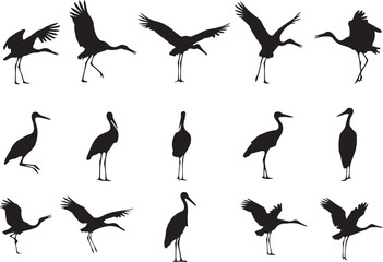Diverse Silhouettes of Cranes in Various Poses Gracefully Dancing and Standing, Captured in Striking Black and White with an Artistic Flair