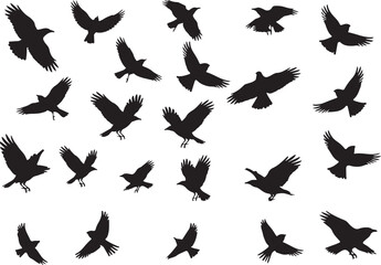 Fototapeta premium A Silhouette Symphony Avian Flight Patterns Displaying Dynamic Wing Positions in Graphic Arrangement Black and White Visual Harmony