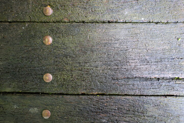 A rough wooden surface, covered with a layer of moss and moisture, creates a distinct texture. Old...