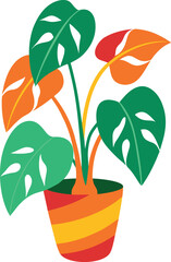 Pothos (Money Plant) colorful  on a white background