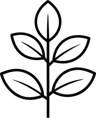 Rubber Plant line art on a white background