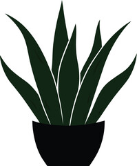 Snake Plant (Sansevieria) silhouette on a white background