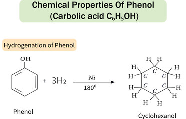 Chemical Properties of Phenol, Hydrogenation of phenol into Cyclohexanol with Nickel Catalyst. Chemistry Diagram