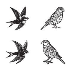 collection of birds
