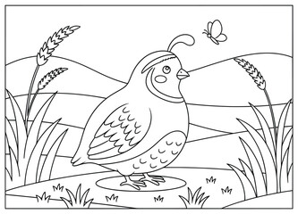 Cute cartoon quail bird with butterfly in wheat field – simple kids coloring page with nature scene