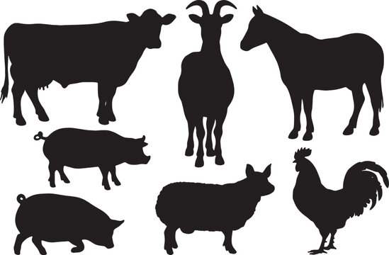 firm animals silhouette collection icon design vector illustration