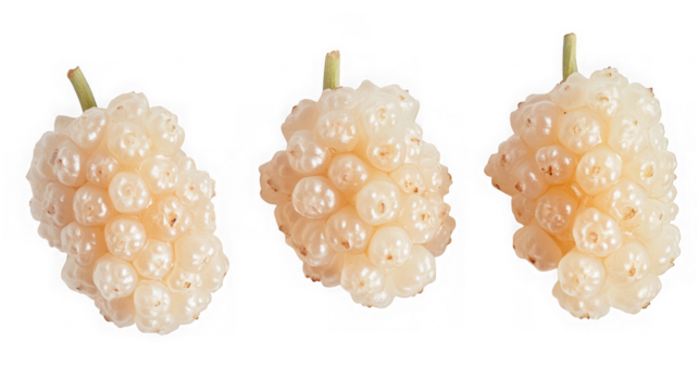 Three ripe white mulberries isolated on a transparent background
