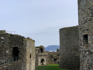 ruins of the castle