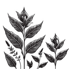 leaf silhouette