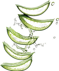 Sliced aloe vera pieces with water splashes slices green