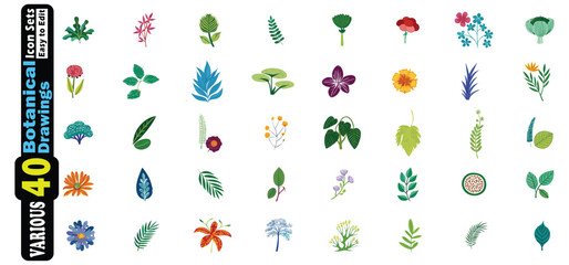 Diverse Collection of Botanical Illustrations and Plant Icons vector