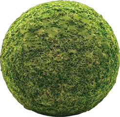Textured green sphere moss nature