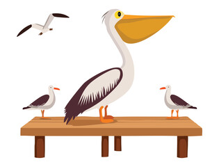 Pelican and Seagulls Resting on Wooden Pier