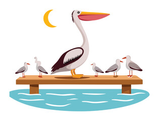 Pelican and Seagulls Relaxing on Wooden Pier