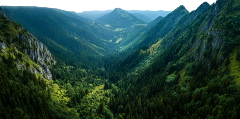 mountain landscape with green grass