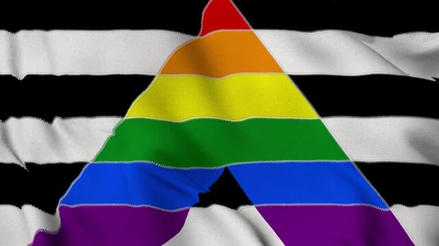 The Straight Ally Pride Flag background. Realistic Straight Ally pride flag waving in the wind. LGBTQ+ Straight Ally community symbol Perfect Loop 4K video. - Powered by Adobe