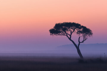 Obraz premium in enchanting savanna plain of uganda soft twilight casts mesmerizing glow across landscape