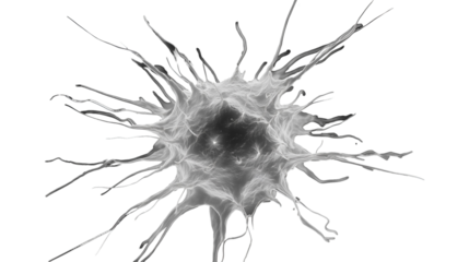 white cancer cell