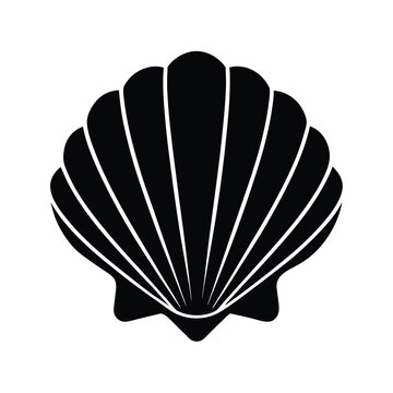 vector illustration of a seashell