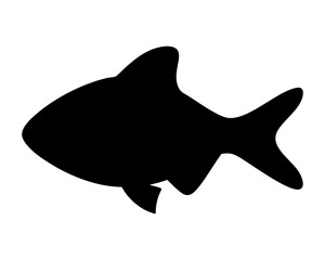 Black silhouette of a fish, possibly an angelfish or similar species.