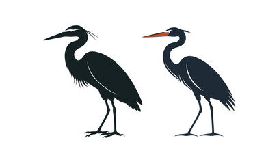 Obraz premium Two black herons standing side by side isolated on white background