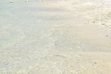 Pigeon Island National Park, Trincomalee, Sri Lanka.