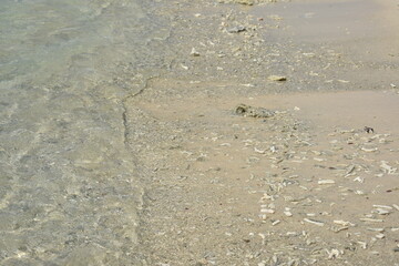 Pigeon Island National Park, Trincomalee, Sri Lanka.