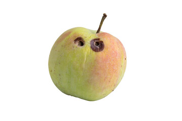 Worm-eaten organic apple with transparent background
