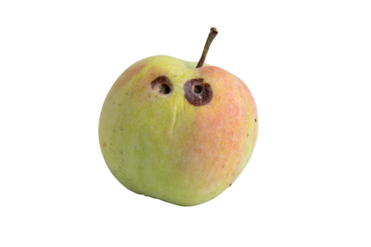 Worm-eaten organic apple with transparent background
